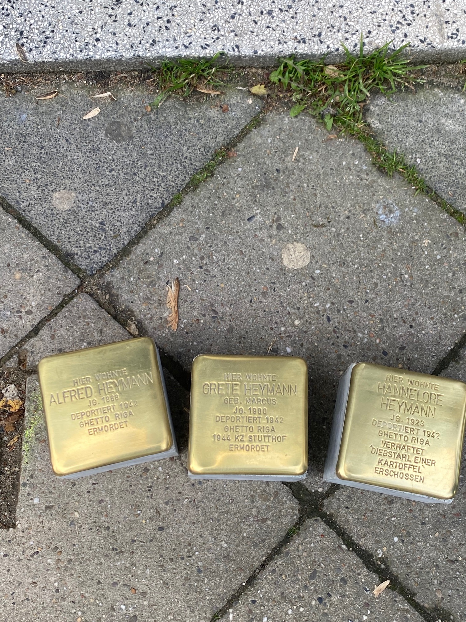 Stolpersteine für Familie Alfred Heymann 